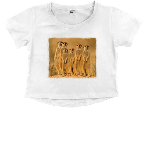 Kids' Premium Cropped T-Shirt - Meerkati - Mfest