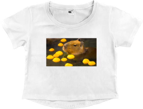 Capibara in tangerines