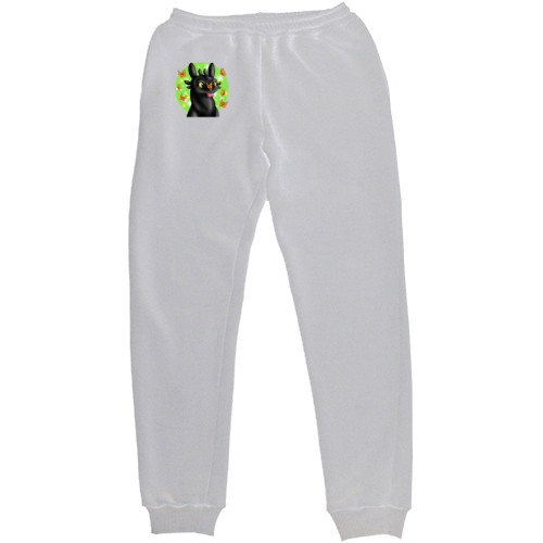 Kids' Sweatpants - How to Train Your Dragon - Mfest