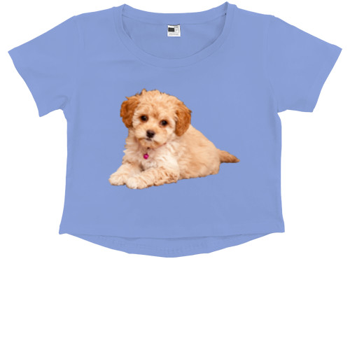 Kids' Premium Cropped T-Shirt - Мальтипу 3 - Mfest