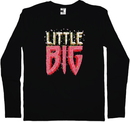 Little Big Logo