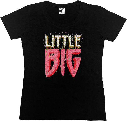 Little Big Logo