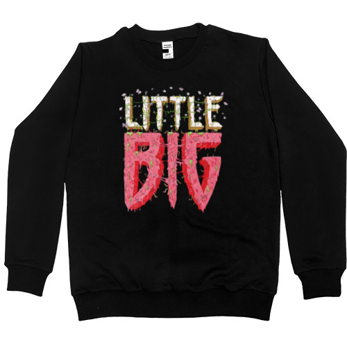 Men’s Premium Sweatshirt - Little Big Logo - Mfest