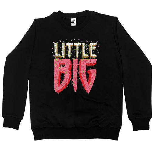 Little Big Logo