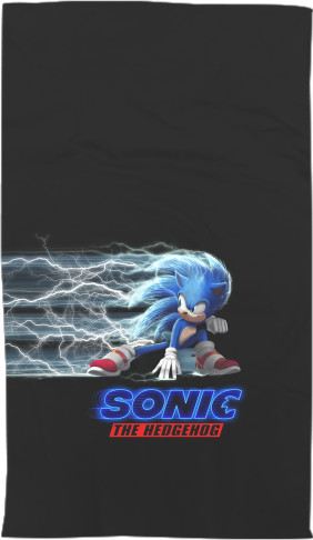 Sonic the hedgehog