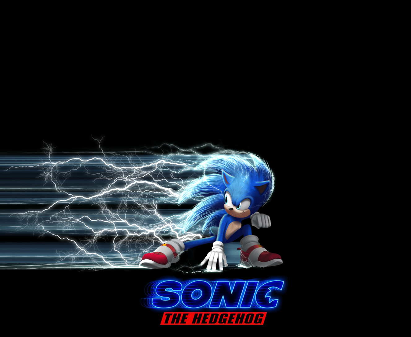 Sonic the hedgehog