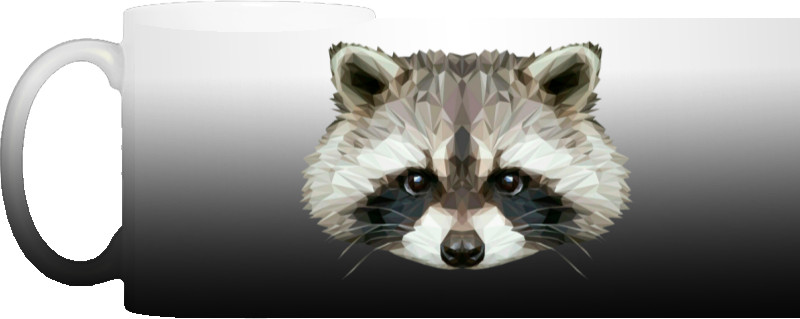 raccoon