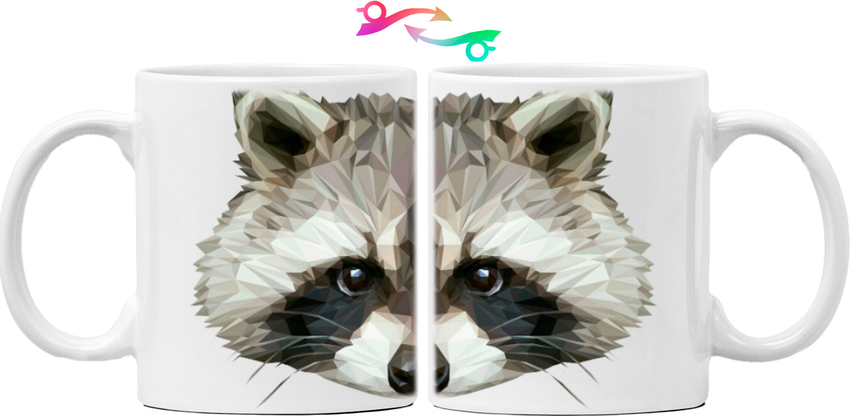 raccoon