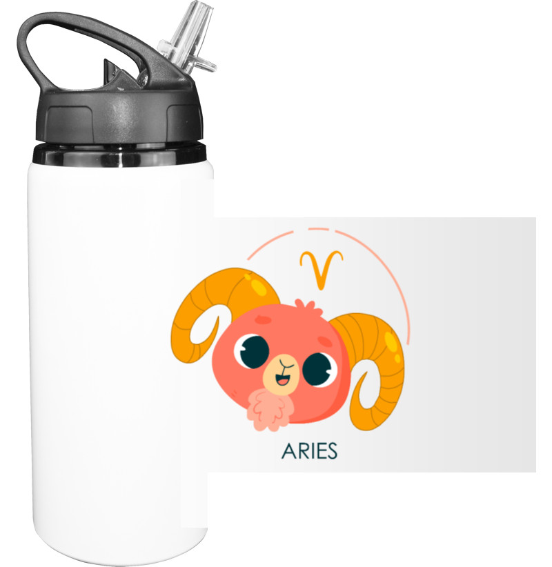 Sport Water Bottle - ARIES - Mfest