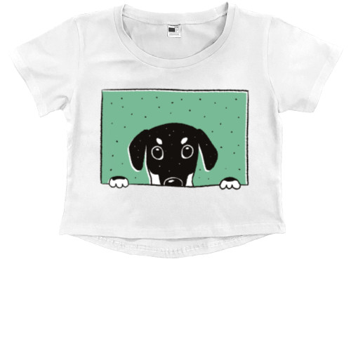 Kids' Premium Cropped T-Shirt - dachshund - Mfest