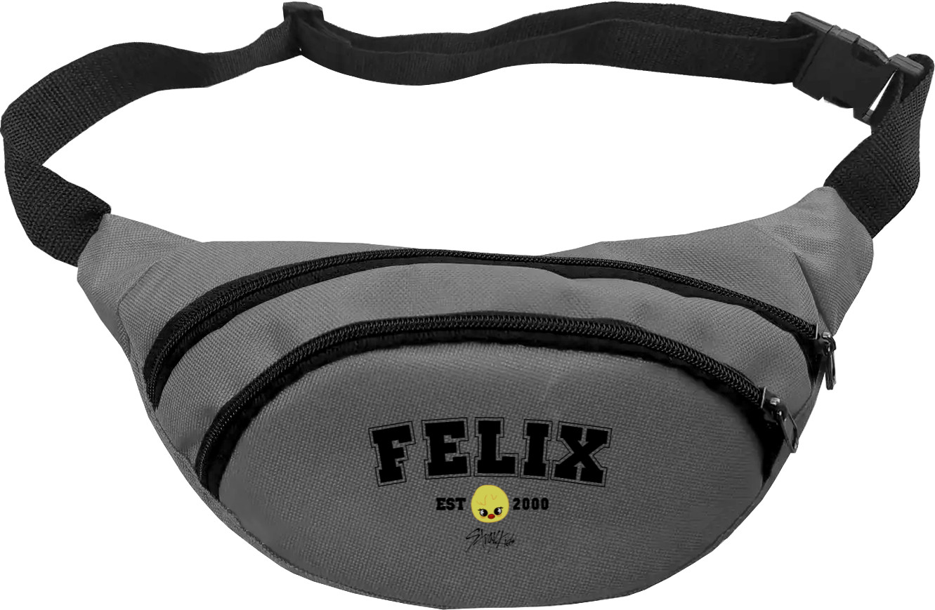 Fanny Pack - Felix 2 - Mfest