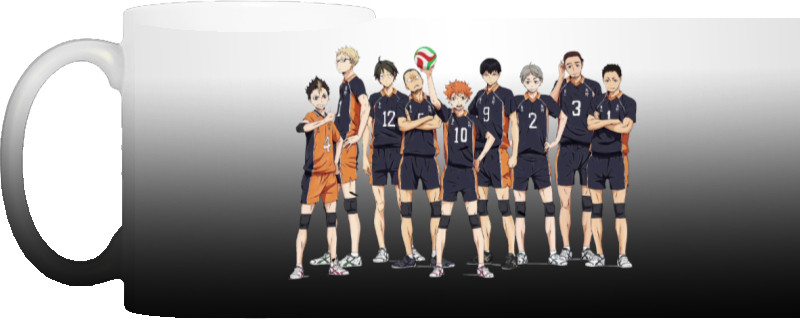 Haikyuu Team