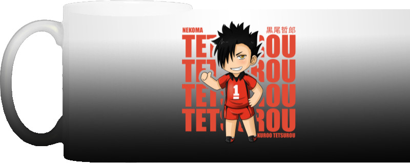 Kuroo Tetsurou