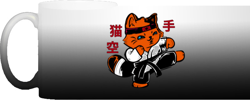 KIT Karateka