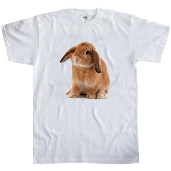 Men's T-Shirt Fruit of the loom - Rabbit 2023 - Mfest