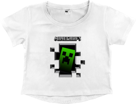 Minecraft 7