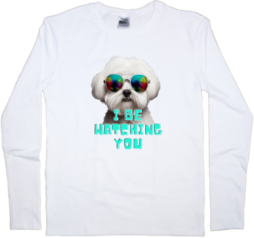 Maltese, funny maltese