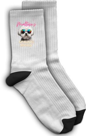 Socks - Maltese, funny maltese - Mfest