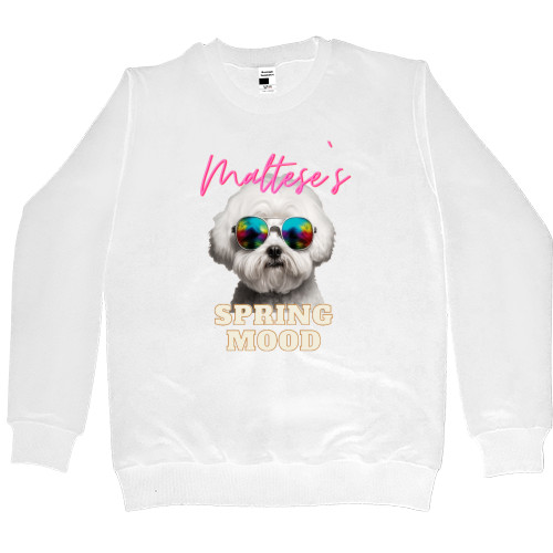 Women's Premium Sweatshirt - Maltese, funny maltese - Mfest