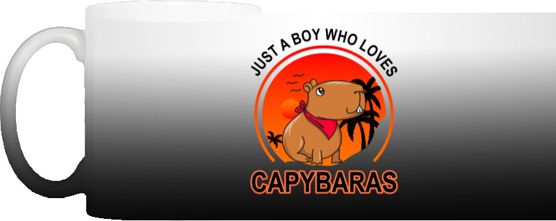 Just A Boy Who Loves Capybaras