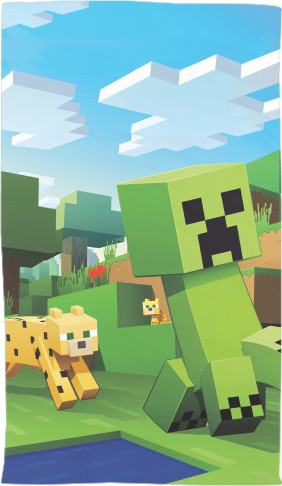 Minecraft 14