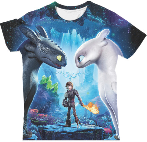 Man's T-shirt 3D - How to train your dragon 11 - Mfest