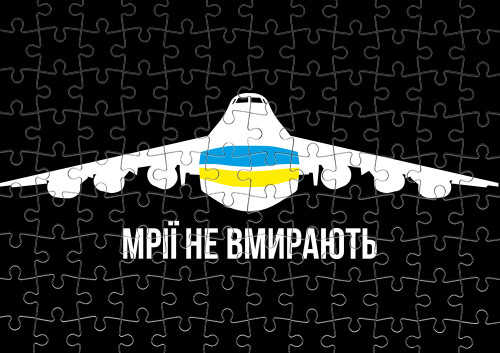 Mriya do not die, Litak Mriya An-225