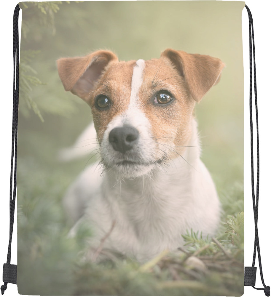 Drawstring Bag - Jack Russell terrier - Mfest