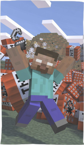 Minecraft (4)