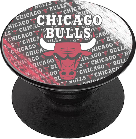 Chicago Bulls [6]