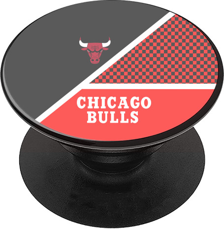 Chicago Bulls [13]