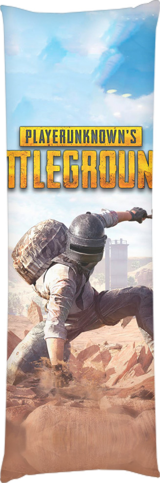 PUBG (20)