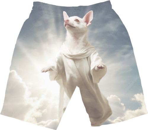 Men's Shorts 3D - CHIHUAHUA 10 - Mfest