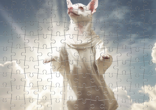 Puzzle - CHIHUAHUA 10 - Mfest