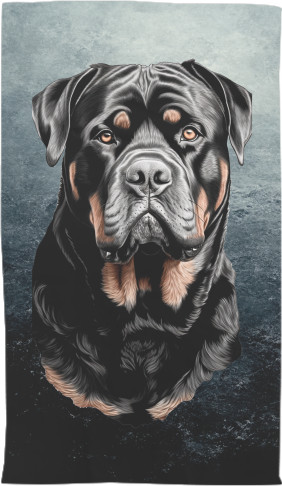 Rottweiler 9