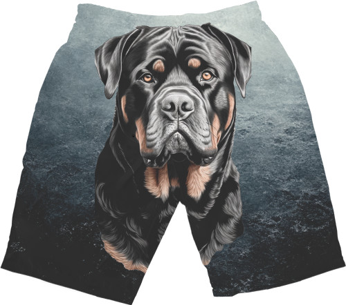 Rottweiler 9