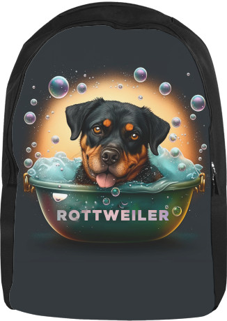 Rottweiler 12