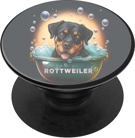 Rottweiler 12