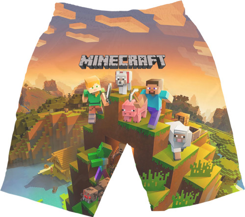 Minecraft 28