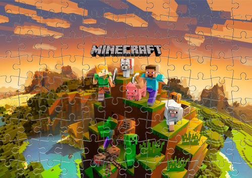 Minecraft 28