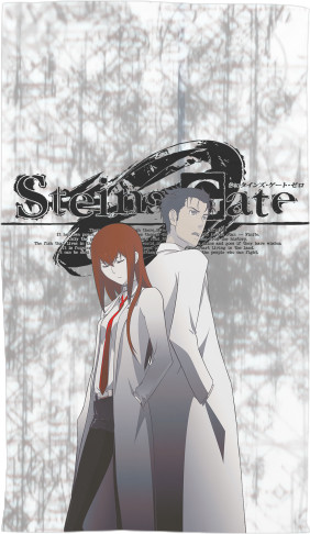 Брама Штейна / Steins Gate 3