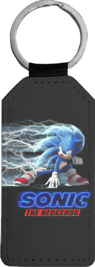 Sonic the hedgehog