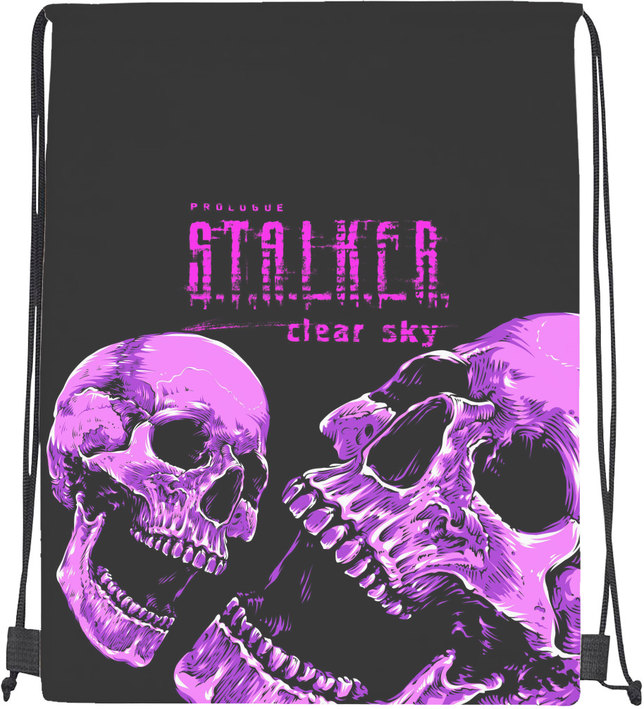 Stalker 2 skull