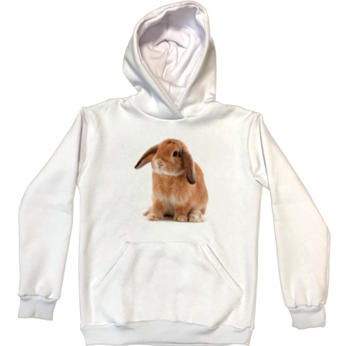 Unisex Hoodie - Rabbit 2023 - Mfest