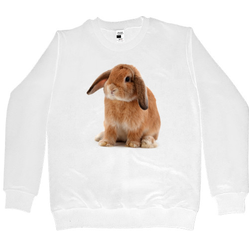 Women's Premium Sweatshirt - Rabbit 2023 - Mfest