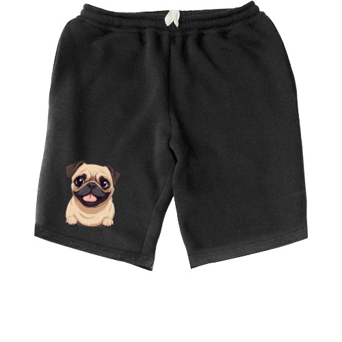 Pug