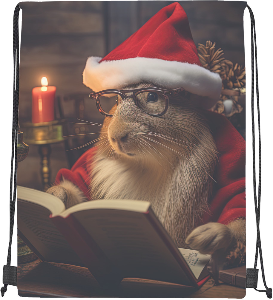 Capybara wearing a Santa Claus hat