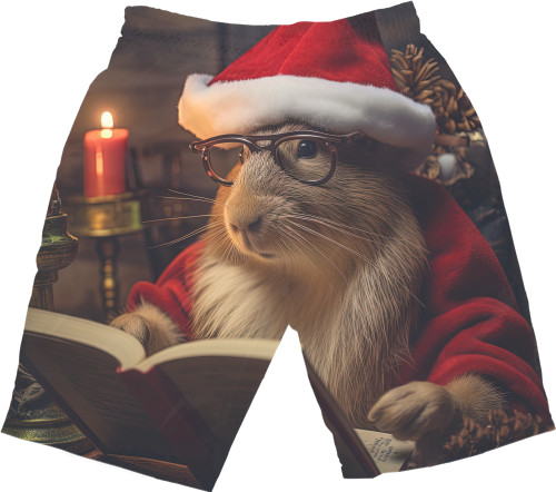 Capybara wearing a Santa Claus hat