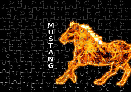 Mustang fire