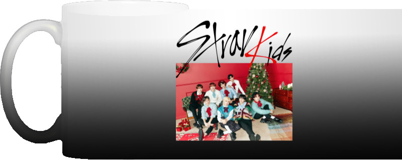 New Year's Stray Kids